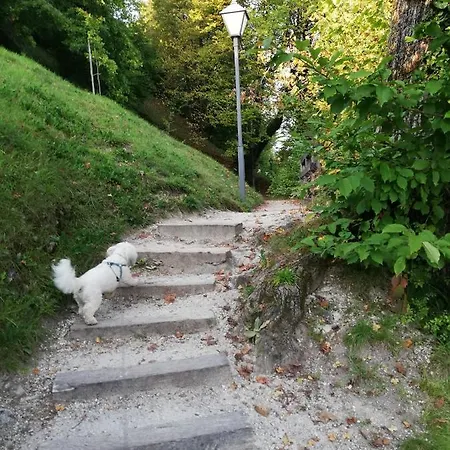 Appartement Two Angels Bled