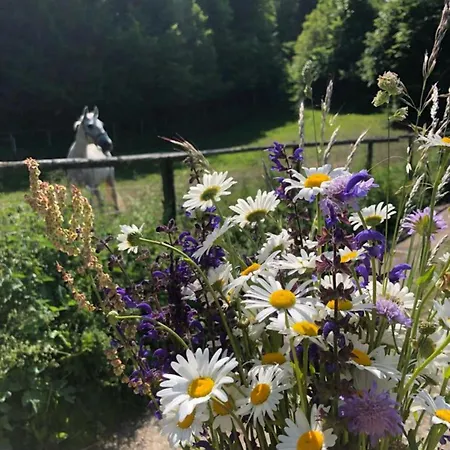 Appartement Two Angels *