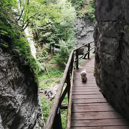 Two Angels Appartement