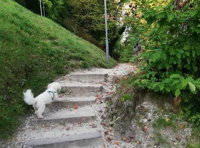 Apartamento Two Angels Bled