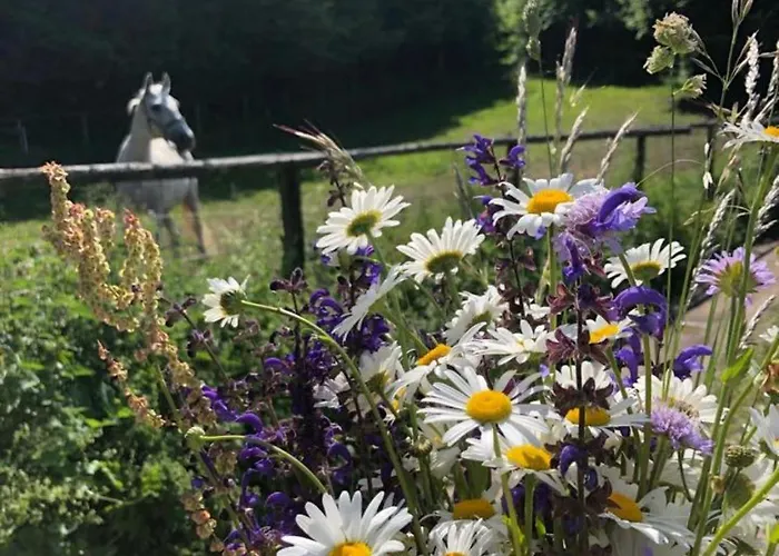 Apartamento Two Angels *